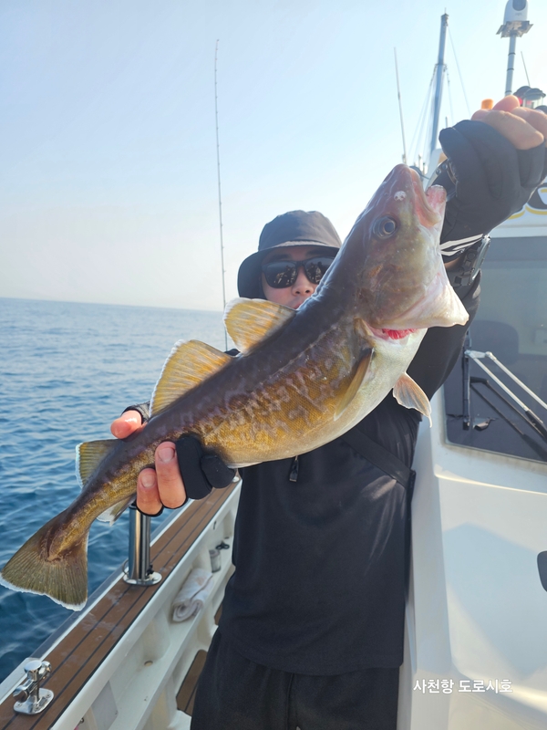 도로시호의 조황일지 이미지 - 14