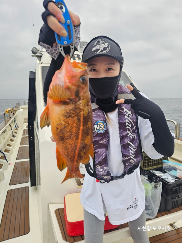 도로시호의 조황일지 이미지 - 19