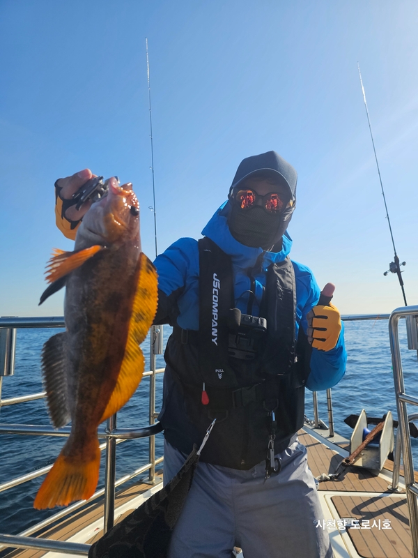 도로시호의 조황일지 이미지 - 0