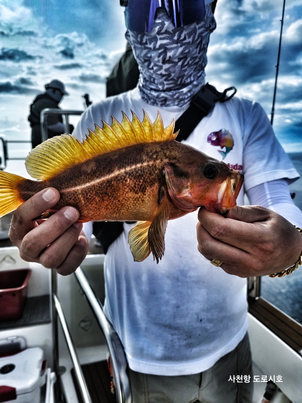 도로시호의 조황일지 이미지 - 3