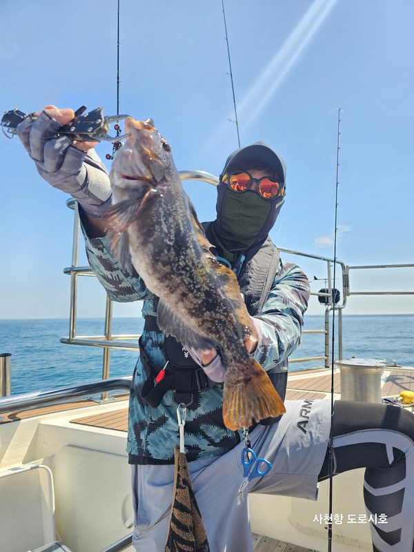 도로시호의 조황일지 이미지 - 2