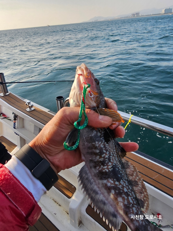 도로시호의 조황일지 이미지 - 12