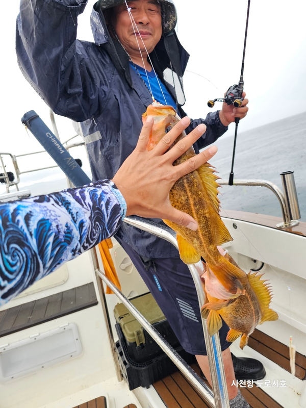 도로시호의 조황일지 이미지 - 1