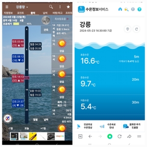 쥐노래미 우럭 조황 선상낚시로 잡은 물고기 조황