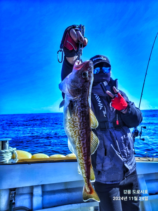 도로시호의 조황일지 이미지 - 3