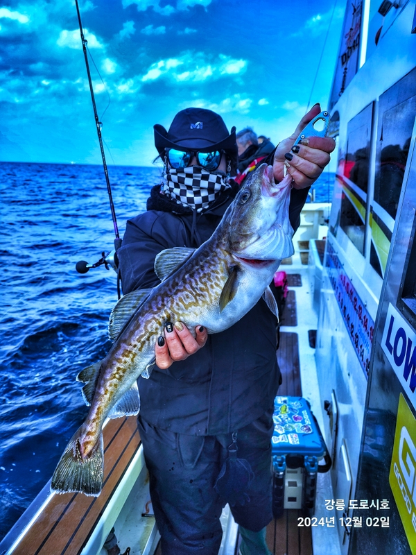 도로시호의 조황일지 이미지 - 2