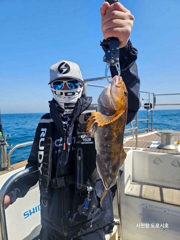 도로시호의 조황일지 이미지 - 1