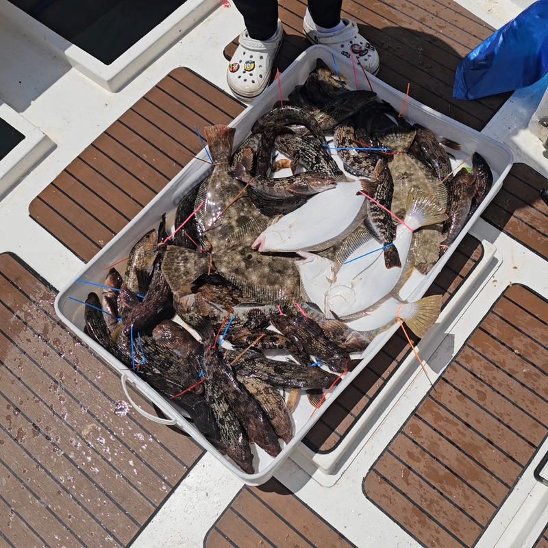 도로시호의 조황일지 이미지 - 1