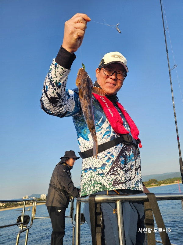 도로시호의 조황일지 이미지 - 4