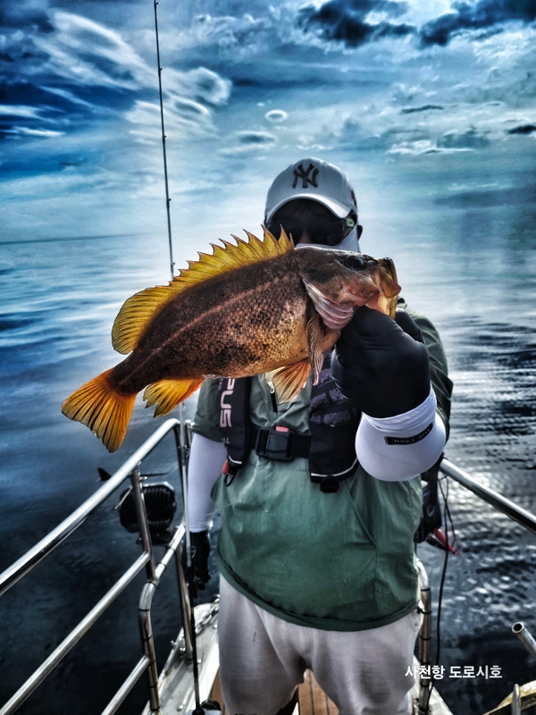 도로시호의 조황일지 이미지 - 2