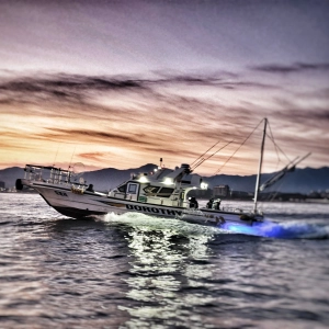 겨울 대구라바 시즌 시작 입니다 선상낚시로 잡은 물고기 조황