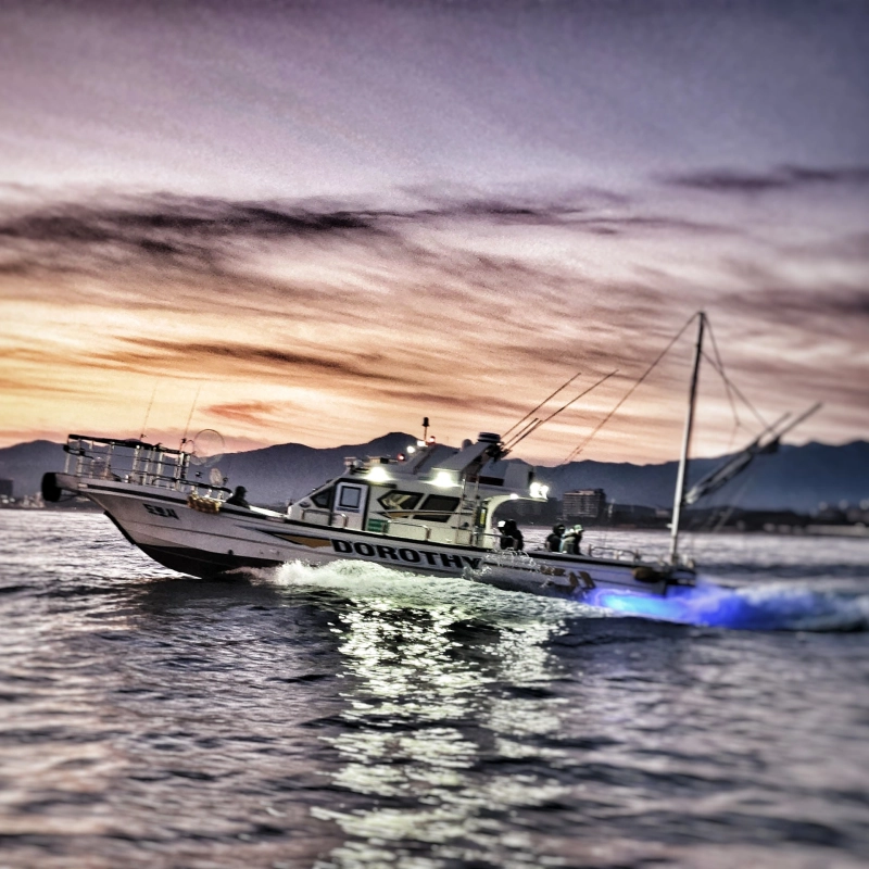 도로시호의 조황일지 이미지 - 0