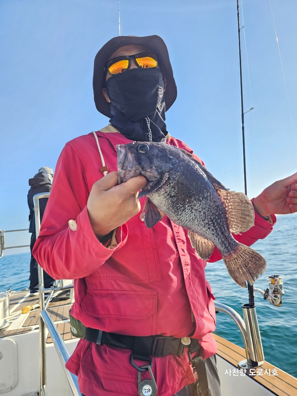 도로시호의 조황일지 이미지 - 2