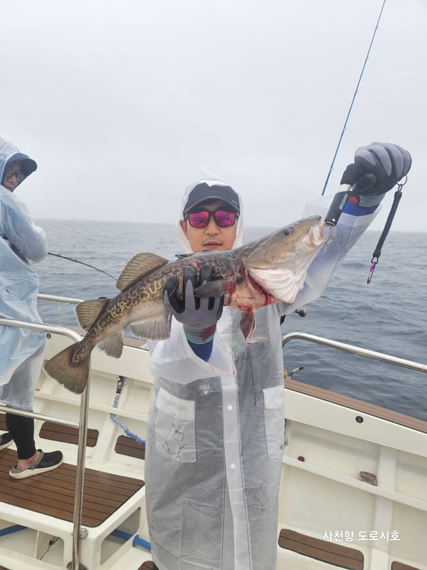 도로시호의 조황일지 이미지 - 8