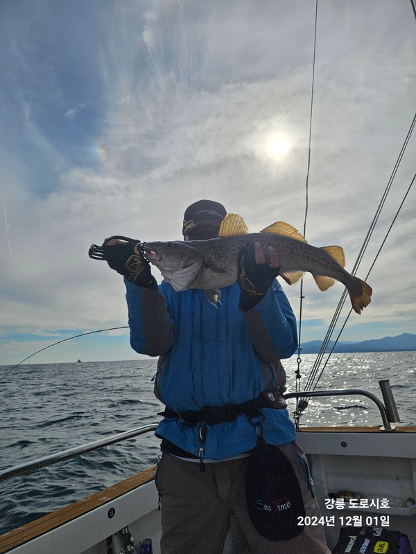 도로시호의 조황일지 이미지 - 8