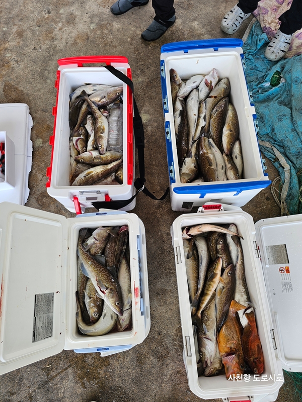 도로시호의 조황일지 이미지 - 0