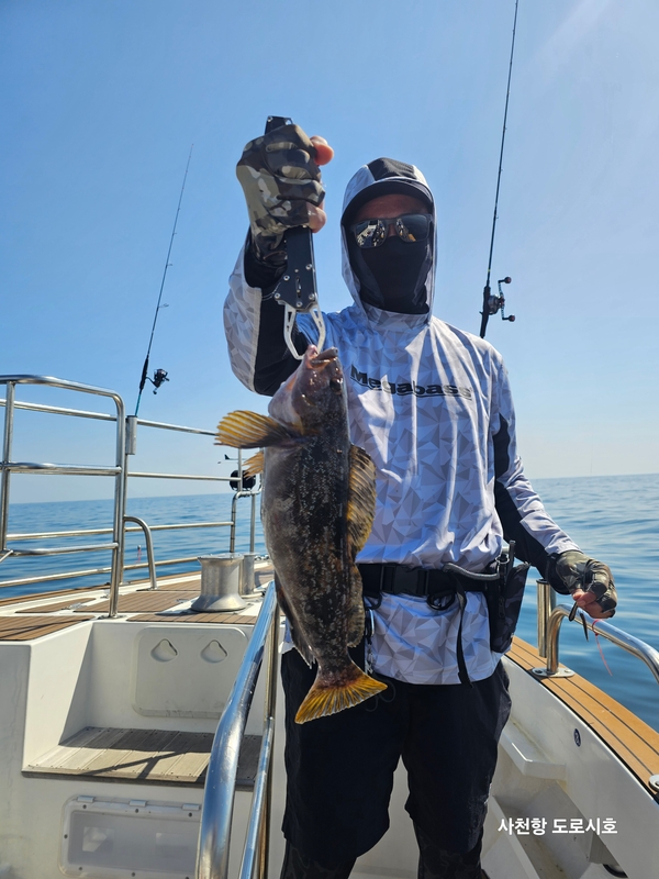 도로시호의 조황일지 이미지 - 1