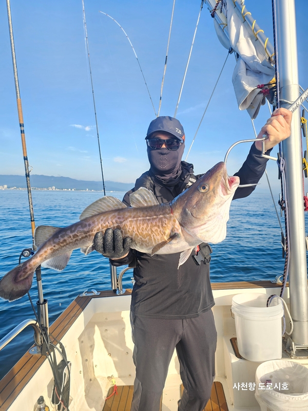 도로시호의 조황일지 이미지 - 7