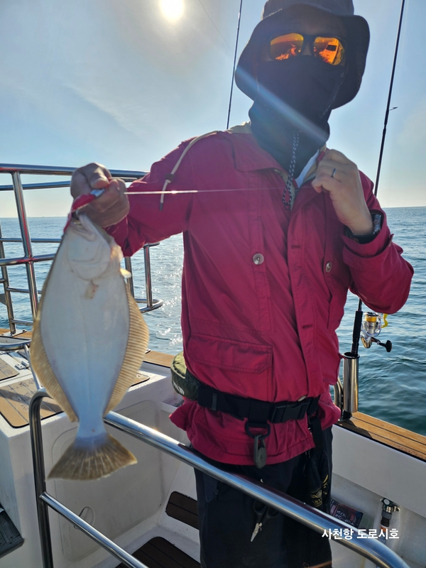 도로시호의 조황일지 이미지 - 3