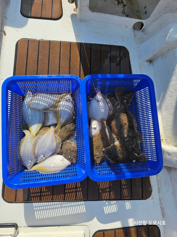 도로시호의 조황일지 이미지 - 1