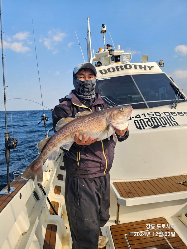 도로시호의 조황일지 이미지 - 5