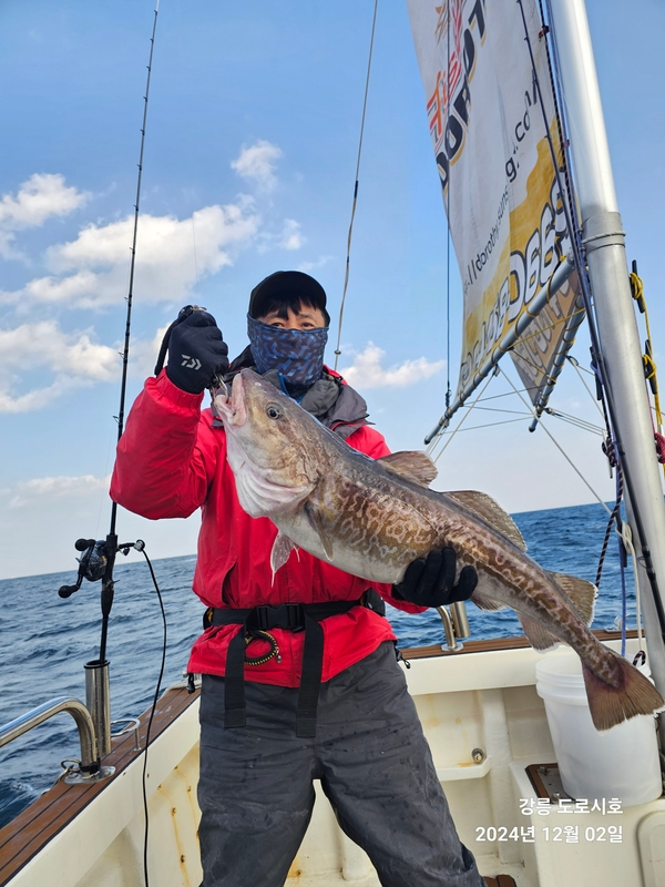 도로시호의 조황일지 이미지 - 7