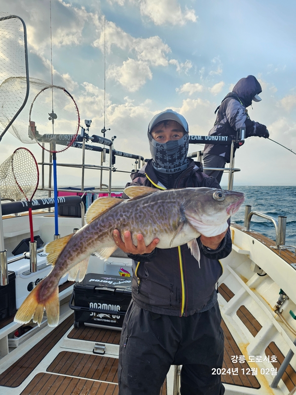 도로시호의 조황일지 이미지 - 6