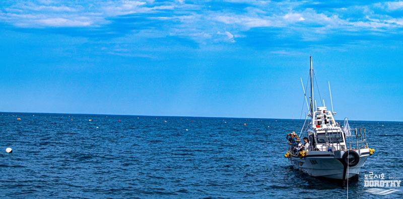 해당 선사를 대표하는 이미지