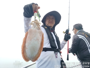 예쁜 갑오징어랑 못생긴문어 ~^^ 선상낚시로 잡은 물고기 조황