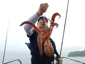 삼천포 임금호 숭악한 돌문어 월요일부터 자리많습니다  선상낚시로 잡은 물고기 조황