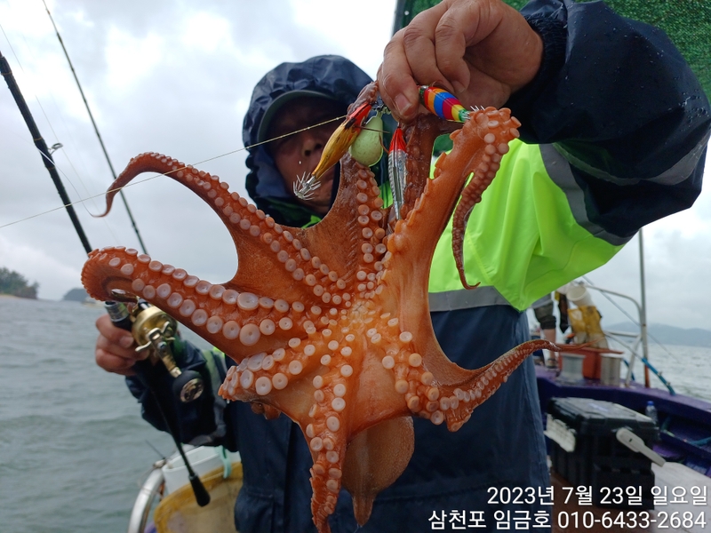 삼천포 임금호 의 조황일지 이미지 - 5