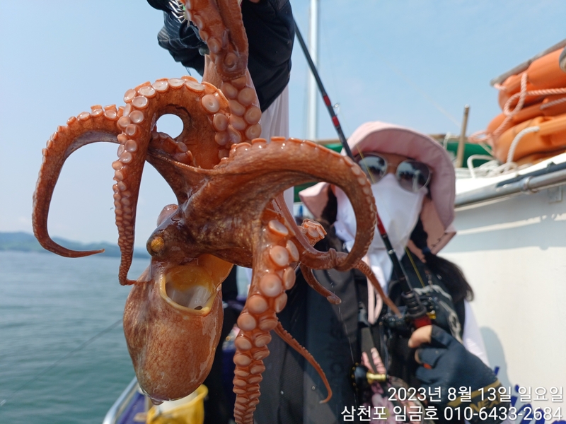 삼천포 임금호 의 조황일지 이미지 - 7