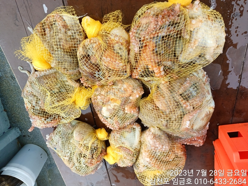 삼천포 임금호 의 조황일지 이미지 - 9