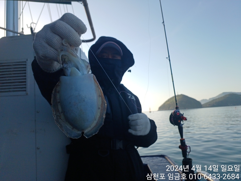 삼천포 임금호 의 조황일지 이미지 - 5