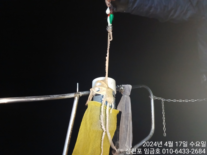 삼천포 임금호 의 조황일지 이미지 - 6