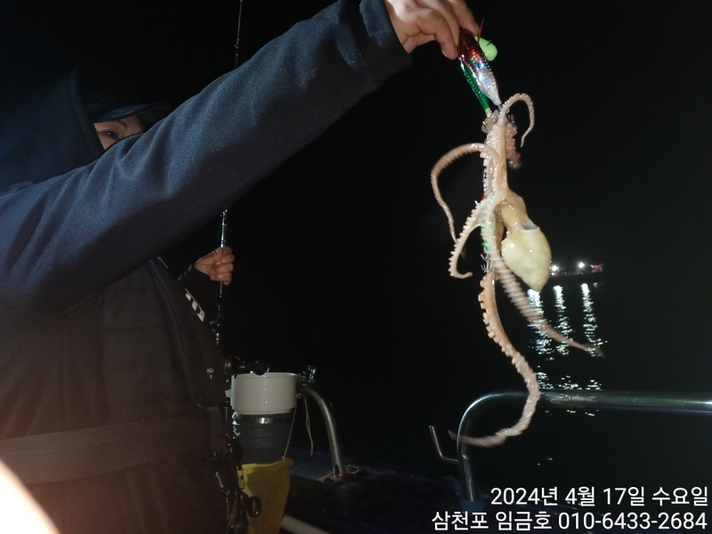 삼천포 임금호 의 조황일지 이미지 - 3