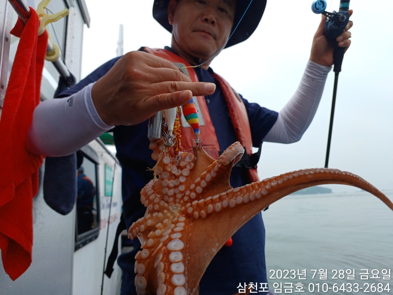 삼천포 임금호 의 조황일지 이미지 - 6