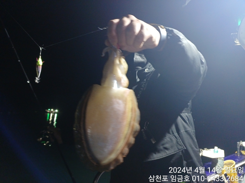 삼천포 임금호 의 조황일지 이미지 - 2