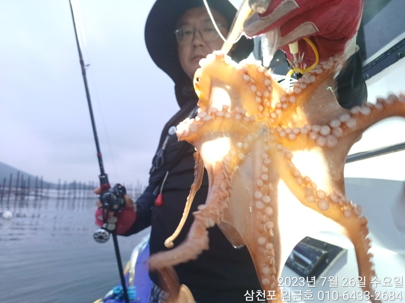 삼천포 임금호 의 조황일지 이미지 - 0