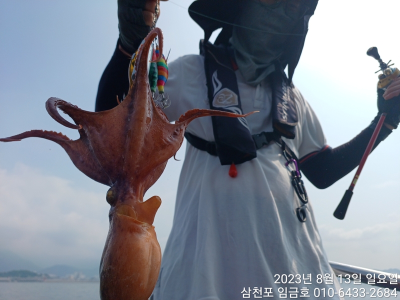 삼천포 임금호 의 조황일지 이미지 - 2