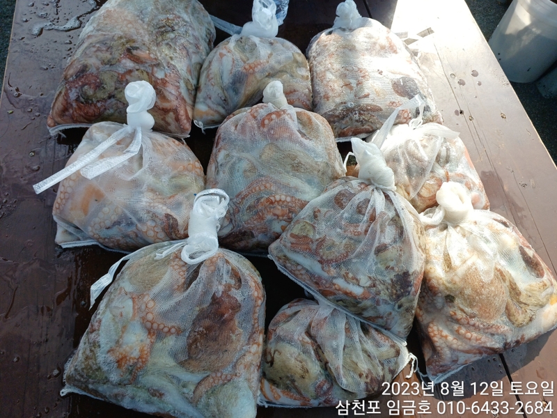 삼천포 임금호 의 조황일지 이미지 - 8