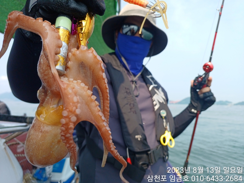 삼천포 임금호 의 조황일지 이미지 - 1