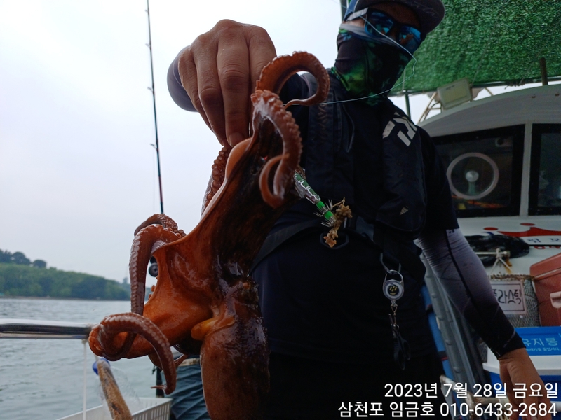 삼천포 임금호 의 조황일지 이미지 - 7