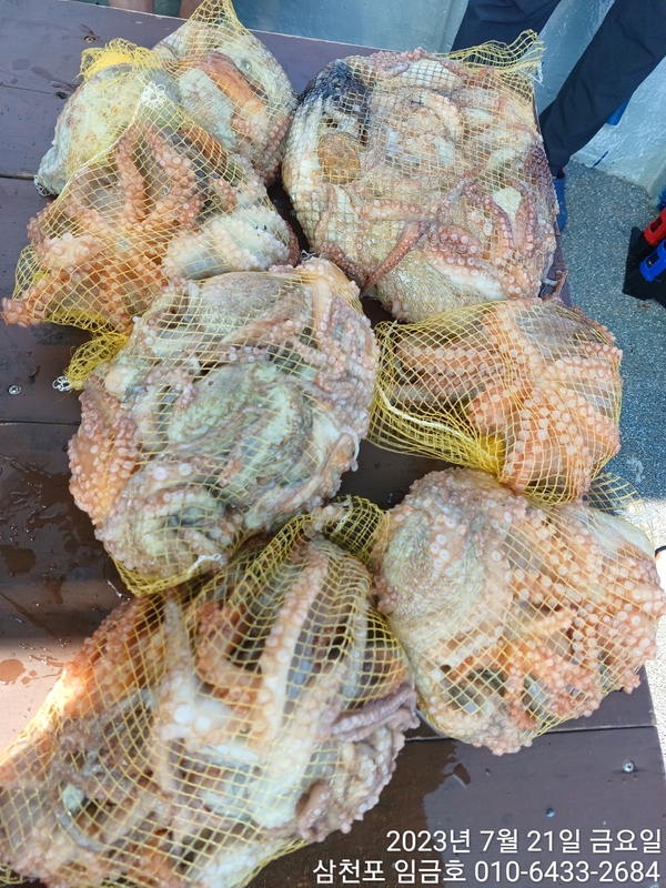 삼천포 임금호 의 조황일지 이미지 - 9