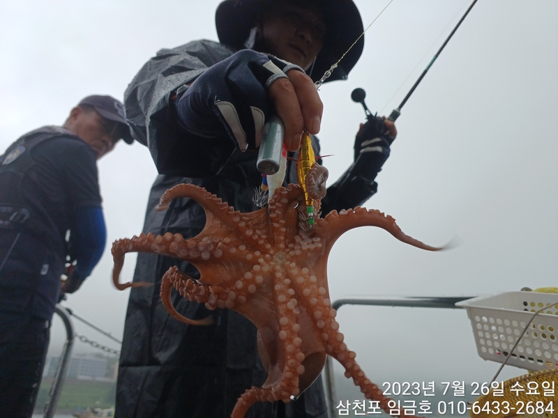 삼천포 임금호 의 조황일지 이미지 - 5