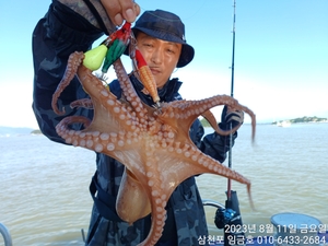 삼천포 임금호 돌문어 이정도면 대박? 선상낚시로 잡은 물고기 조황