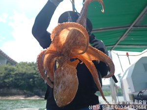 삼천포 임금호 돌문어 두자릿수 못하면바보 선상낚시로 잡은 물고기 조황