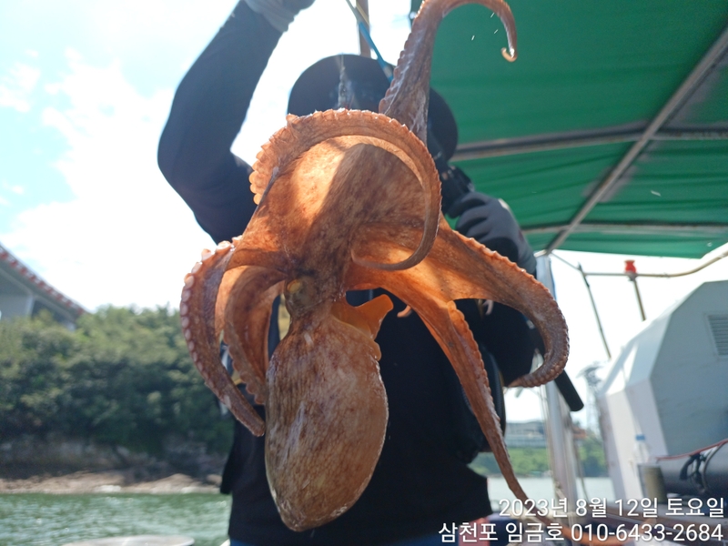 삼천포 임금호 의 조황일지 이미지 - 0