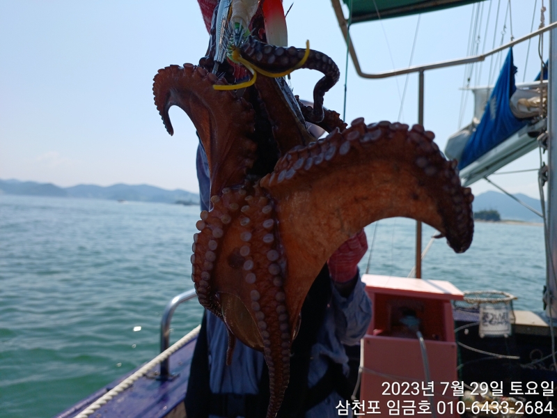 삼천포 임금호 의 조황일지 이미지 - 4