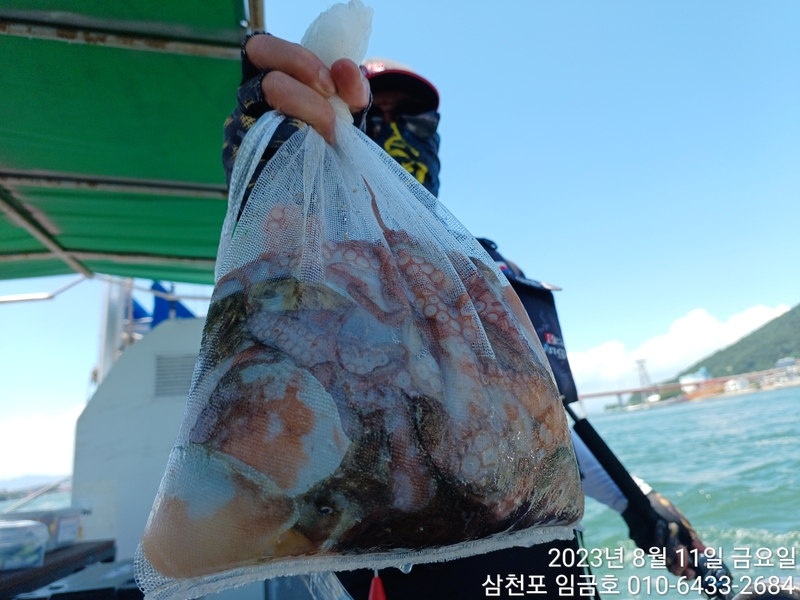 삼천포 임금호 의 조황일지 이미지 - 4